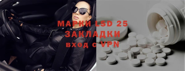 ECSTASY Инсар