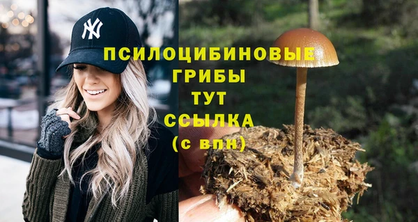 ECSTASY Инсар